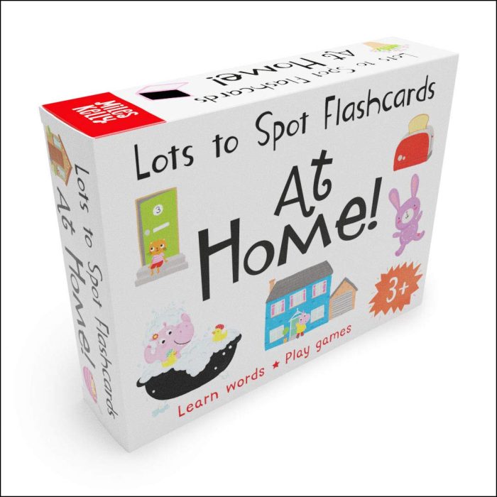 LOTS TO SPOT FLASHCARDS AT HOME