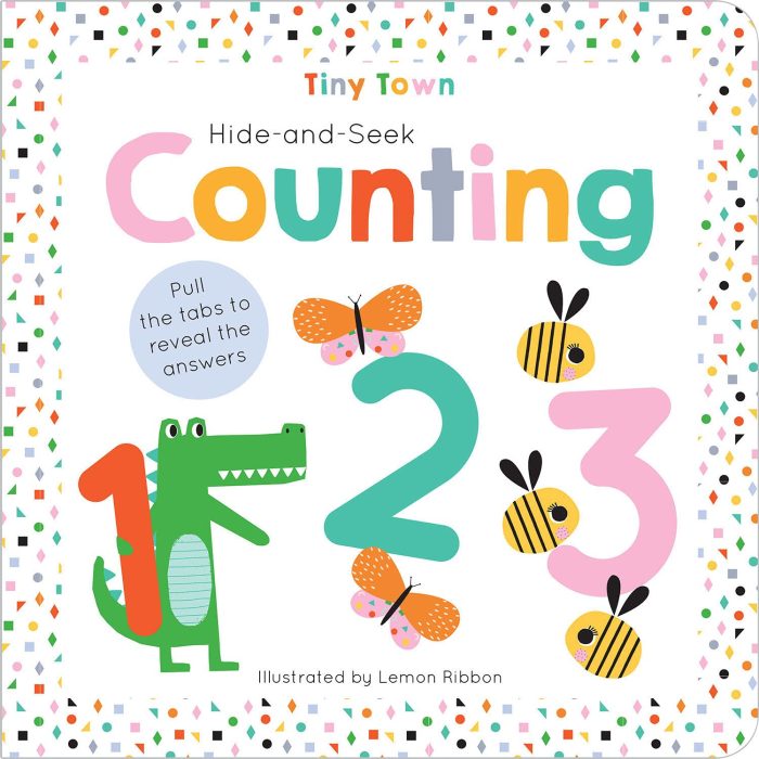 Hide-and-Seek Counting (IT)