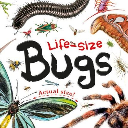 Life-Size Bugs