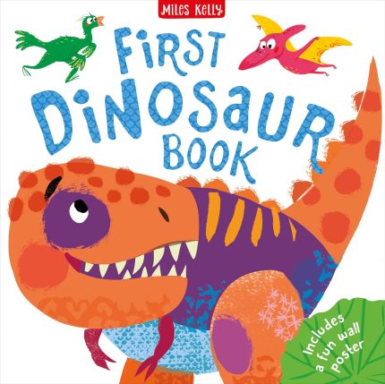 C48HB FIRST DINOSAUR BOOK