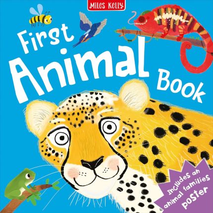 C48HB FIRST ANIMAL BOOK