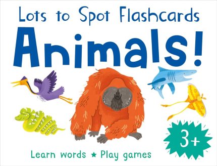 LOTS TO SPOT FLASHCARDS ANIMALS NEW