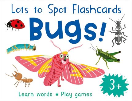 LOTS TO SPOTFC BUGS FLASHCARDS