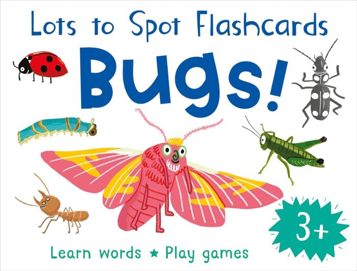 LOTS TO SPOTFC BUGS FLASHCARDS