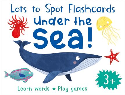 LOTS TO SPOT FLASHCARDS UNDER THE SEA NEW